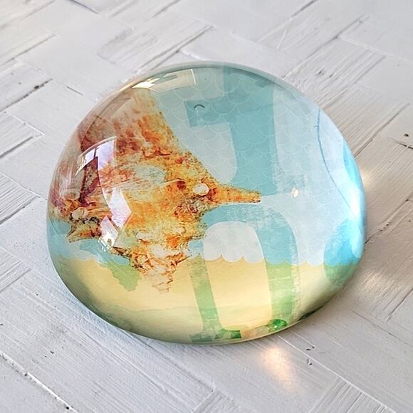 Seashell Ocean Paperweight Dome Glass Round No Chips or Cracks 4" - Picture 5 of 6
